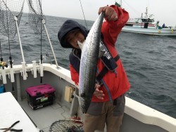 オーシャンキッズ 釣果