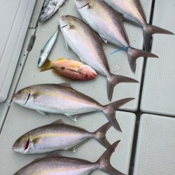 オーシャンキッズ 釣果