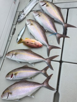 オーシャンキッズ 釣果