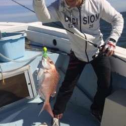 リトルワン 釣果