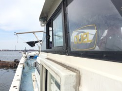 リトルワン 釣果