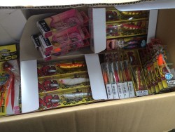 リトルワン 釣果