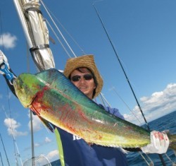 Aquanaut（アクアノート） 釣果