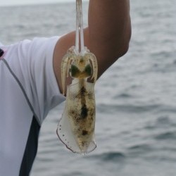 Aquanaut（アクアノート） 釣果