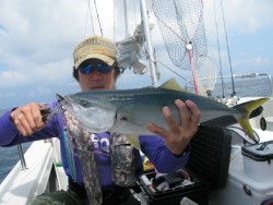 Aquanaut（アクアノート） 釣果