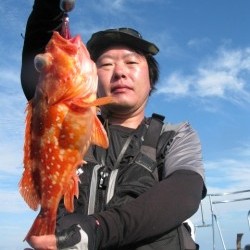 Aquanaut（アクアノート） 釣果