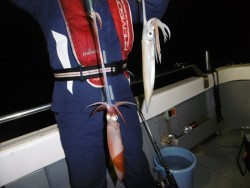 ハピネスⅡ 釣果