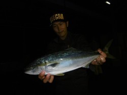 ハピネスⅡ 釣果