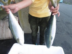 ハピネスⅡ 釣果