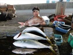 ハピネスⅡ 釣果