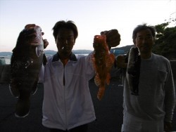 ハピネスⅡ 釣果