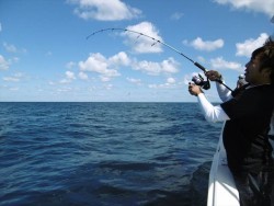 ハピネスⅡ 釣果