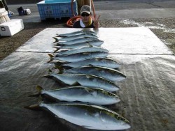 ハピネスⅡ 釣果