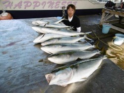 ハピネスⅡ 釣果