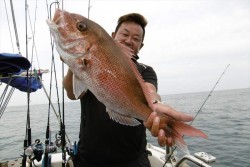 ハピネスⅡ 釣果