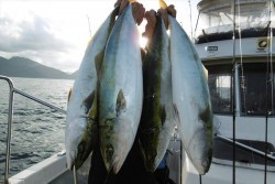 ハピネスⅡ 釣果