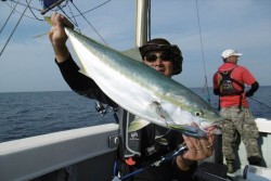 ハピネスⅡ 釣果