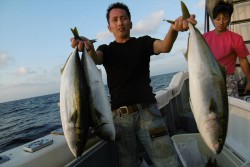 ハピネスⅡ 釣果