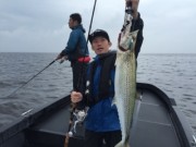 シーマジカル 釣果