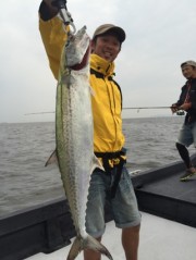 シーマジカル 釣果