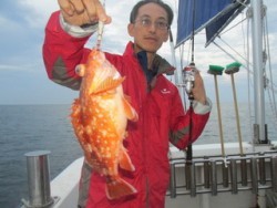 ジギング船 BLUEWATER 釣果