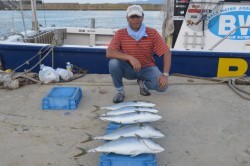 ジギング船 BLUEWATER 釣果