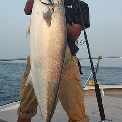 IZANAGI　イザナギ 釣果