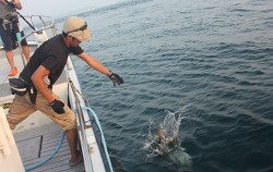 IZANAGI　イザナギ 釣果