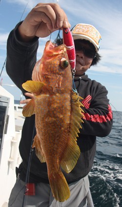 IZANAGI　イザナギ 釣果