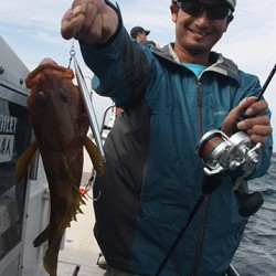 IZANAGI　イザナギ 釣果