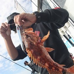 IZANAGI　イザナギ 釣果