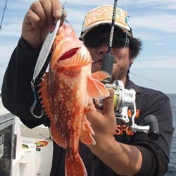 IZANAGI　イザナギ 釣果