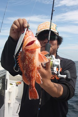 IZANAGI　イザナギ 釣果