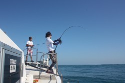 IZANAGI　イザナギ 釣果