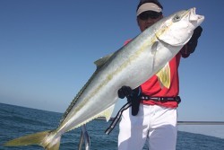 IZANAGI　イザナギ 釣果