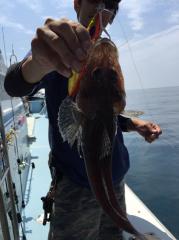 かいもん丸 釣果