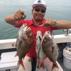 さんさん丸 釣果