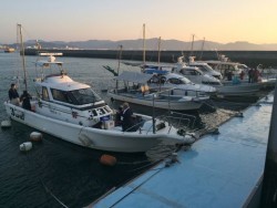 さんさん丸 釣果