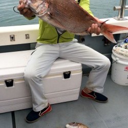 さんさん丸 釣果