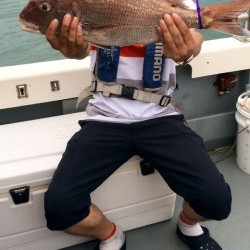 さんさん丸 釣果