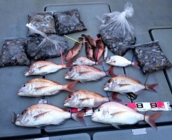 さんさん丸 釣果