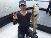 シーマジカル 釣果