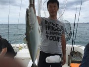 シーマジカル 釣果