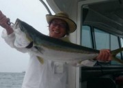 シーマジカル 釣果