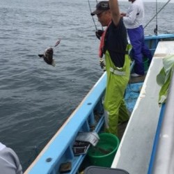征海丸 釣果