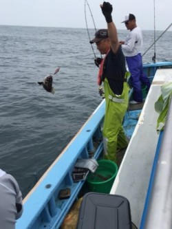 征海丸 釣果