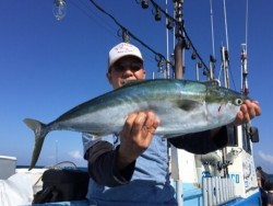 征海丸 釣果