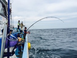 征海丸 釣果
