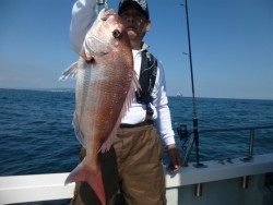 ふじしめ丸 釣果