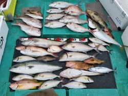 清和丸 釣果